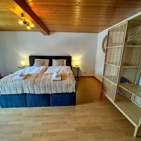 Center View 2 אינטרלאקן