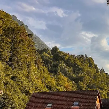 Lejlighed Center View