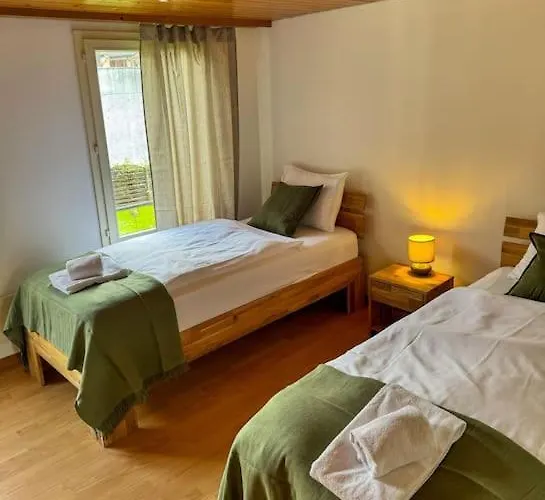 Center View 2 因特拉肯